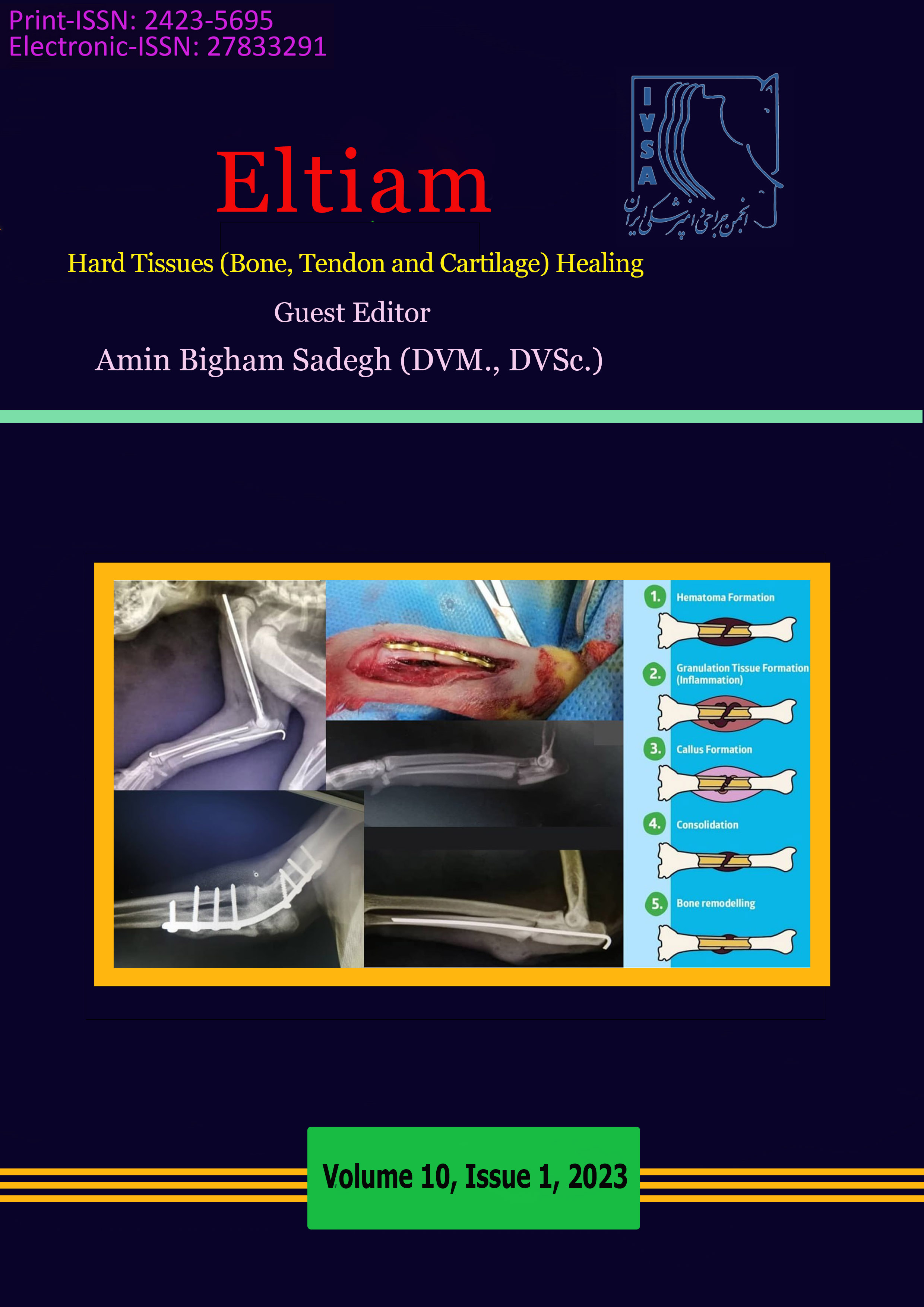 Eltiam